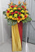 Blooming Delights - Grand Opening Flower Stand - Gerbera - Bird of Paradise - Fresh Flower - Free Same Day Delivery - Well Live Florist