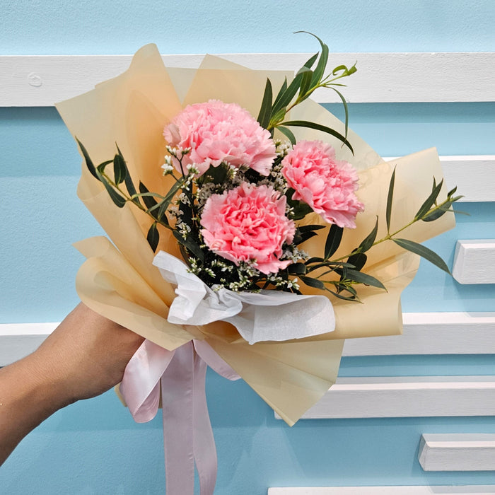 Carnation Charm - Carnation Hand Bouquet - Flower Bouquet - Flower Delivery Singapore - Well Live Florist