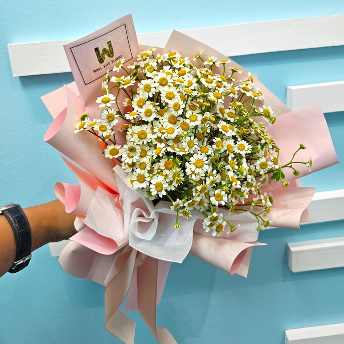 Daisy Charm - Hand Bouquet - Daisy - Hand Bouquet - Well Live Florist