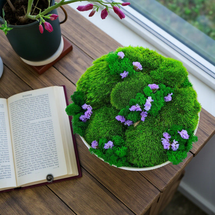 Earthy Delight - Preserved Moss Arrangement - Vase Arrangement - Flower Delivery Singapore - Well Live Florist
