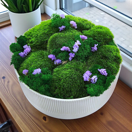 Earthy Delight - Preserved Moss Arrangement - Vase Arrangement - Flower Delivery Singapore - Well Live Florist