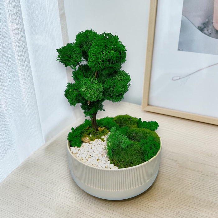 Evergreen Elegance - Preserved Moss Decoration - Flower Delivery Singapore - Well Live Florist