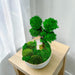 Evergreen Elegance - Preserved Moss Decoration - Flower Delivery Singapore - Well Live Florist
