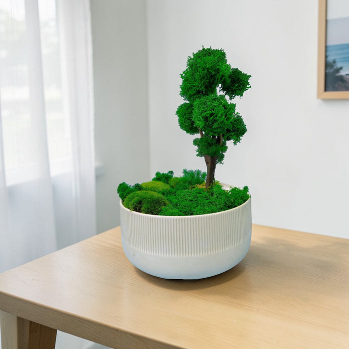 Evergreen Elegance - Preserved Moss Decoration - Flower Delivery Singapore - Well Live Florist