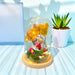 Floral Cloche - Preserved Flower Glass Dome - Same Day Flower Delivery Singapore - Well Live Florist