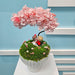 Garden Of Love - Flower In Dome - Preserved Flower - Preserved Hydrangea - Preserved moss - Well Live Florist