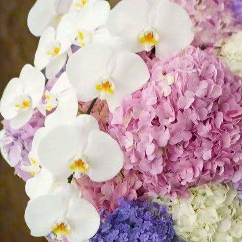 Hydrangea Bloom Box - Flower Box - Flower Delivery Singapore - Well Live Florist