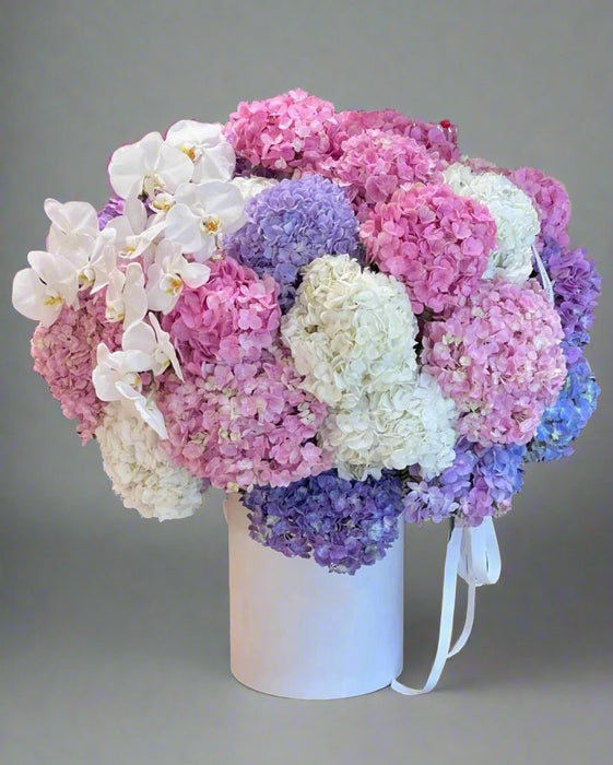 Hydrangea Haven - Flower Box - Flower Delivery Singapore - Well Live Florist