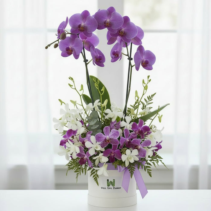 Lavender Orchid Dream - Phalaenopsis Orchid Arrangement - Same Day Flower Delivery Singapore - Well Live Florist