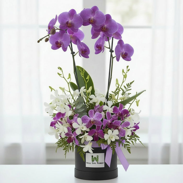 Purple Orchid Flower Box Gift - Same Day Delivery Singapore