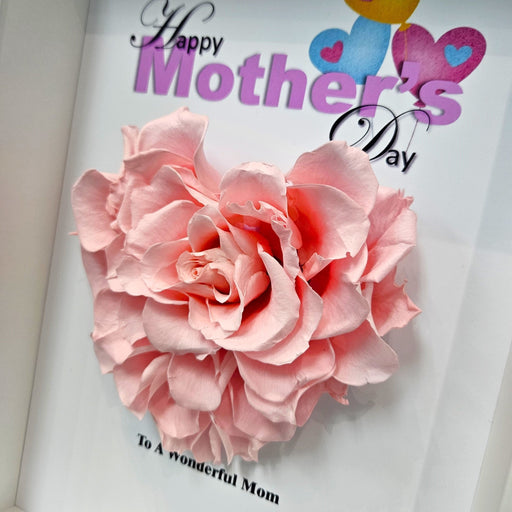 MD Infinite Blooms - Mothers Day - Mothers Day Flower - - Well Live Florist