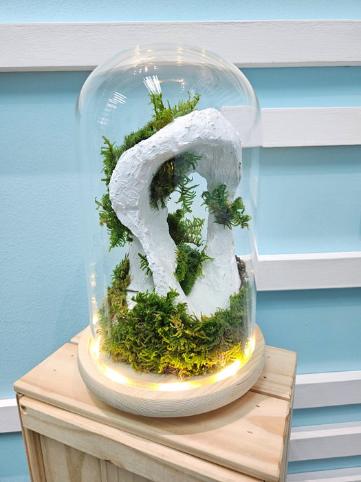 Preserved Moss - Flower In Dome - Preserved Flower - Flower Delivery Singapore - Well Live Florist