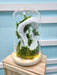 Preserved Moss - Flower In Dome - Preserved Flower - Flower Delivery Singapore - Well Live Florist