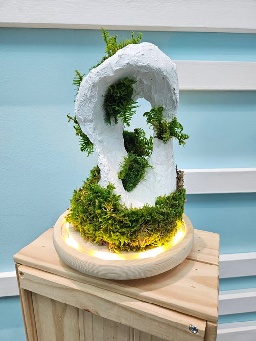 Preserved Moss - Flower In Dome - Preserved Flower - Flower Delivery Singapore - Well Live Florist