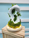 Preserved Moss - Flower In Dome - Preserved Flower - Flower Delivery Singapore - Well Live Florist