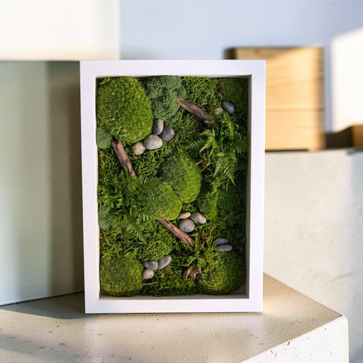 Handcrafted Mosscape Frame with preserved moss and botanicals