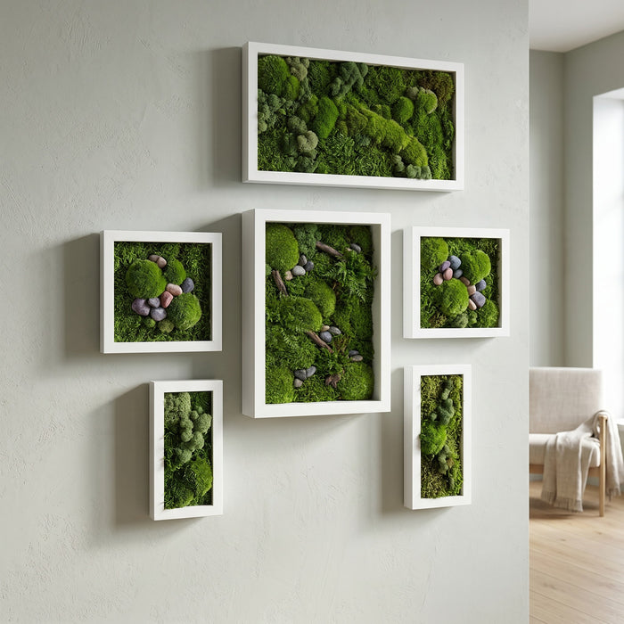 Size comparison of preserved moss wall art in a modern living room