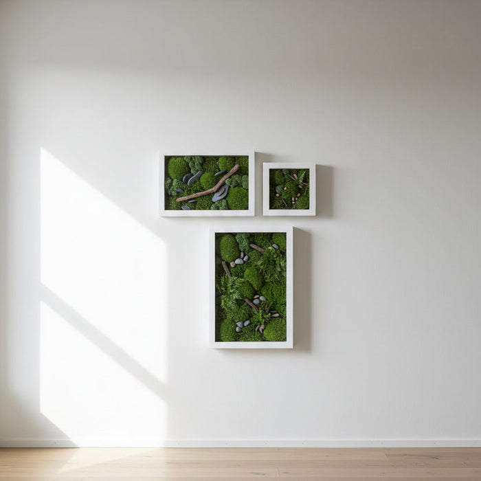 Mosscape Frame as a stunning corridor wall art feature