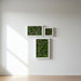 Mosscape Frame as a stunning corridor wall art feature