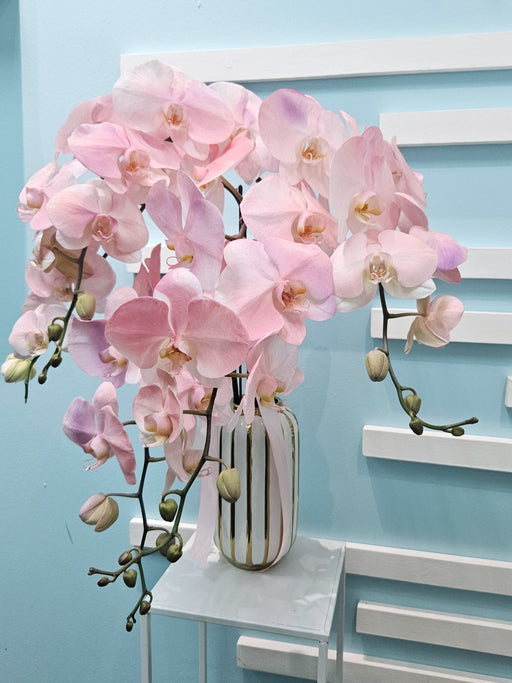 Orchid Odyssey - Flower In Vase - Phalaenopsis Orchid - Free Same Day Delivery - Well Live Florist