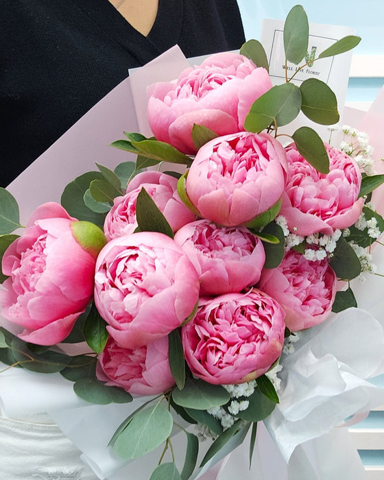 Paeonia Perfection - Fresh Peony - Baby's Breath - Hand Bouquet - Free Same Day Delivery - Well Live Florist