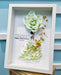 Petal Portrait - Floral Artwork - Preserved Rose - Baby's Breath - Hydrangea - Free Same Day Delivery - Well Live Florist