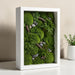 Close-up detail of naturally preserved moss textures and botanicals