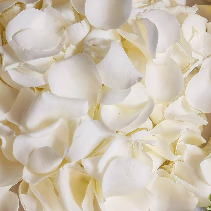 Fresh White Rose Petal (100g)