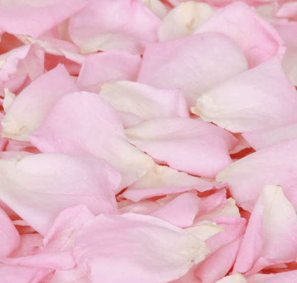 Fresh Pink Rose Petal (100g)