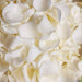 Fresh White Rose Petal (100g)