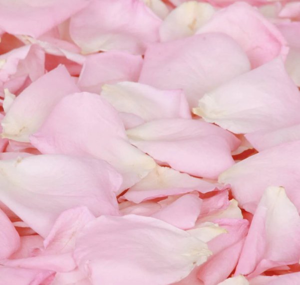 Fresh Pink Rose Petal (100g)