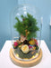 Teddy Sweetheart - Flower In Dome - Preserved Moss Artwork - Preserved Rose - Free Same Day Delivery - Florist Singapore - Well Live Florist