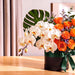 Close-up of white phalaenopsis orchids in Tropic Sunrise black flower box with green satin ribbon