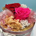 Cupid Garden - Preserved Flower Dome - Valentines Day Flower - Flower Delivery Singapore - Well Live Florist