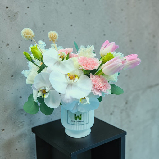 Venus - Fresh Flower Arrangement - Flower In Vase - Phalaenopsis - Flower Delivery Singapore - Well Live Florist