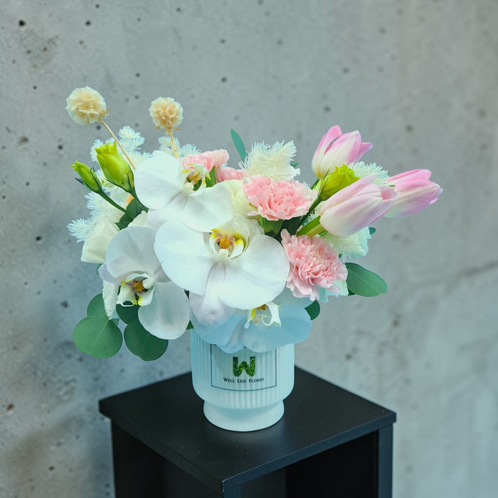 Venus - Fresh Flower Arrangement - Flower In Vase - Phalaenopsis - Flower Delivery Singapore - Well Live Florist