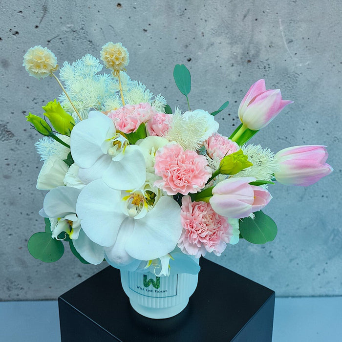 Venus - Fresh Flower Arrangement - Flower In Vase - Phalaenopsis - Flower Delivery Singapore - Well Live Florist