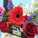 Well Live Florist Bold Delight flower box with red gerberas, roses, carnations, pink eustoma, and white orchids.