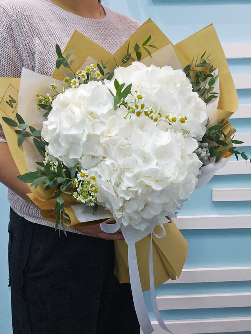 White Wonders - Fresh Flower hand Bouquet - Hydrangea - Daisy - Free Same Day Delivery - Well Live Florist