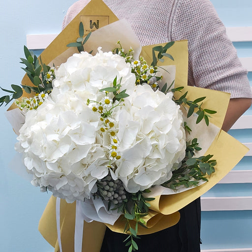 White Wonders - Fresh Flower hand Bouquet - Hydrangea - Daisy - Free Same Day Delivery - Well Live Florist