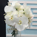 Whiteout Beauty - Wedding Flower - Fresh Phalaenopsis - White Roses - Daisy - Free Same Day Delivery - Well Live Florist 