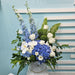 Xaviera - Flower Box - Flower Box - Hydrangea - Phalaenopsis - Well Live Florist