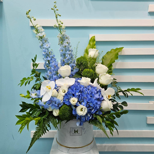 Xaviera - Flower Box - Flower Box - Hydrangea - Phalaenopsis - Well Live Florist