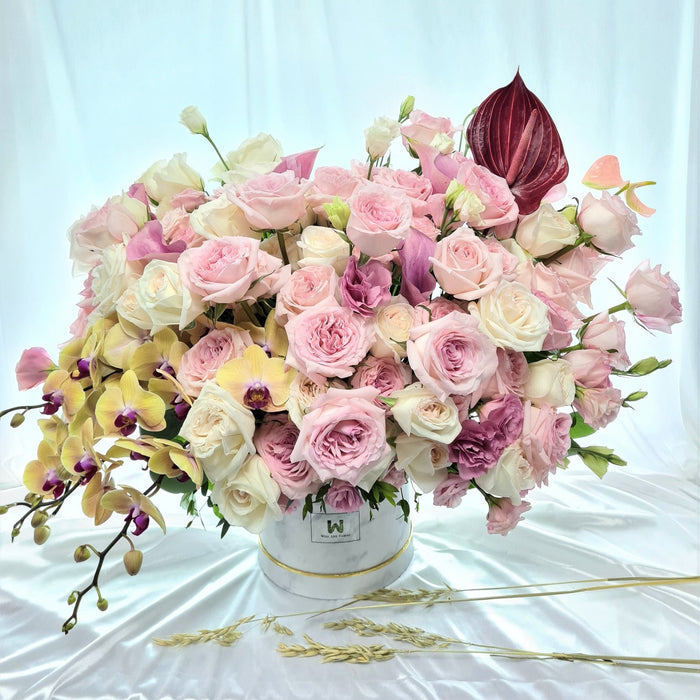 Heavenly flower box of irresistible fresh white/pink ohara roses, phalaenopsis orchids, pink calla lily, eustoma and foliage.