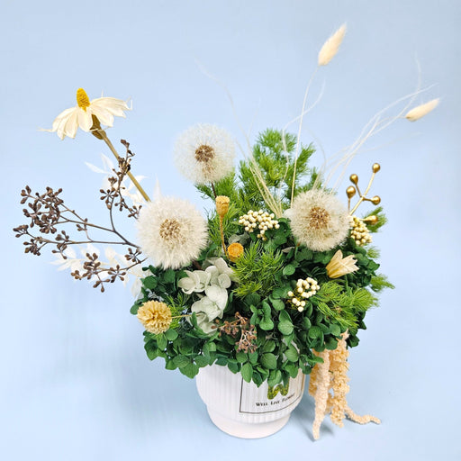 Dandelion Delight - Preserved Dandelion - Flower In Vase - Preserved Flower - Flower Delivery Singapore - Well Live Florist