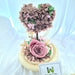 Preserved flower in dome. Flower glass dome. Flower delivery Singapore. Well Live Florist