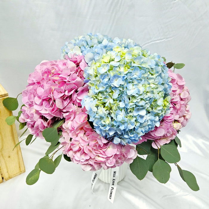 Cotton Candy Cascade - Flower In Vase - flower in vase - Hydrangea - Well Live Florist