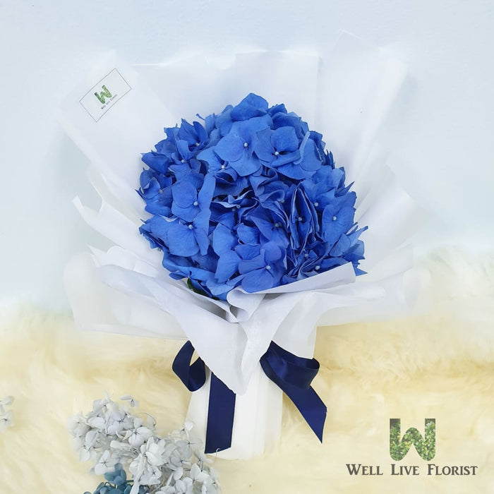 Dariela - Hand Bouquet - Hydrangea Well Live Florist