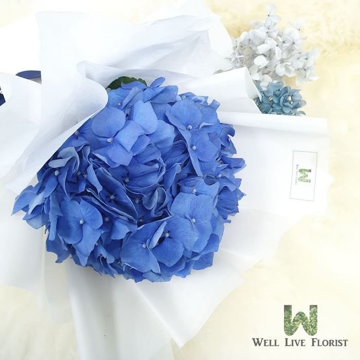 Dariela - Hand Bouquet - Hydrangea Well Live Florist
