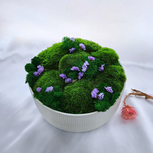Earthy Delight - Floral Art - Moss - Preserved Flower - Well Live Florist